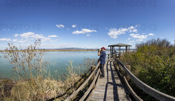 Bird watching from the wooden footbridge in the nature reserve of the Isonzo River near the fishing village of Punta Sdobba