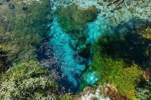 River with transparent waters of The Blue eye