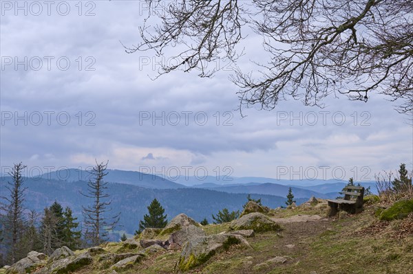 Mountain top