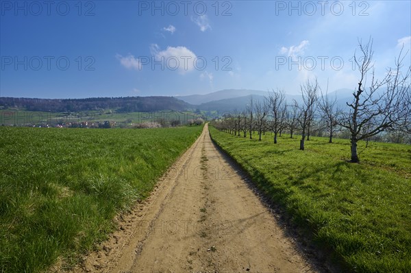Field path