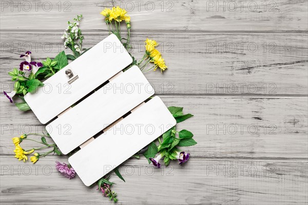 Blank board beautiful flowers