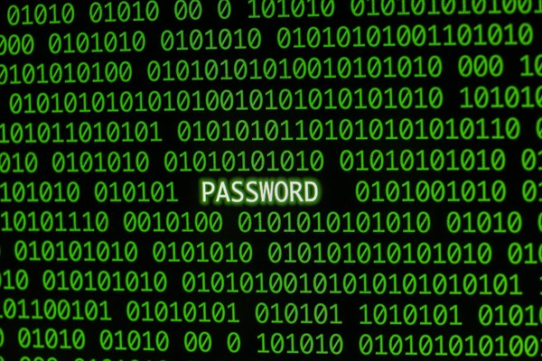 Front view password with binary code