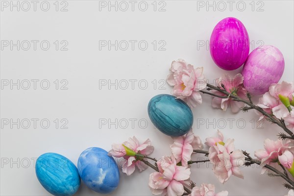 Set easter eggs fresh flower twigs