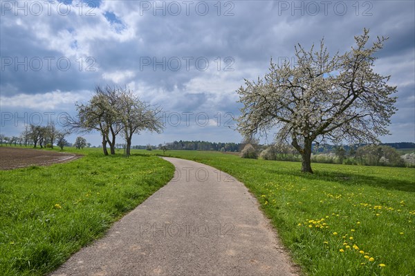 Field path