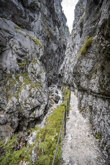 Path in the Hoellentalklamm