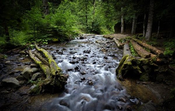 Queureuilh river after the Cascade du Queureuilh waterfall
