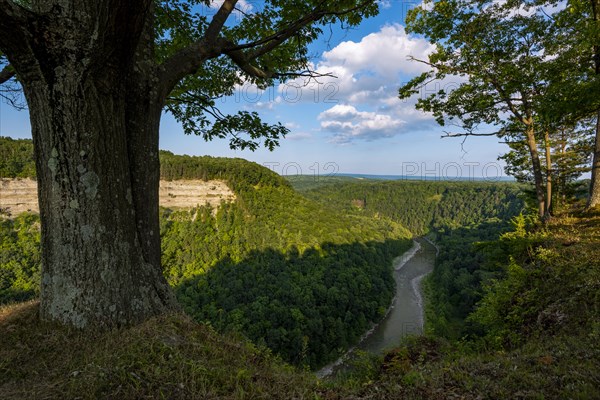 Letchworth State Park