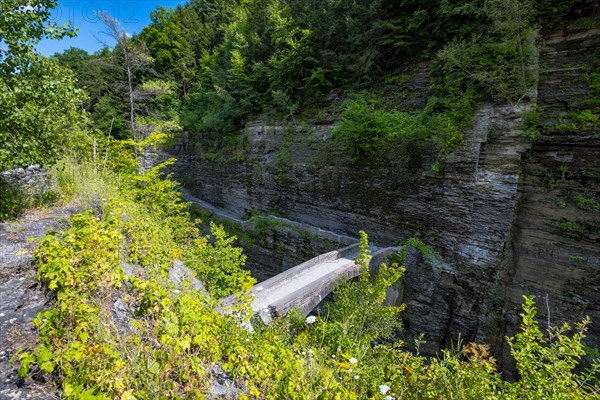 Letchworth State Park