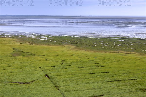 Aerial view over salt marsh