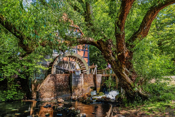 Historic water mill of Stuckenborstel