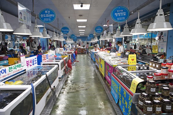 Yeosu Fish Market