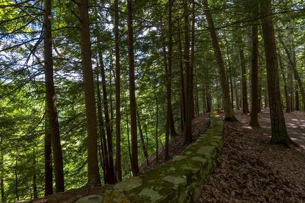 Letchworth State Park