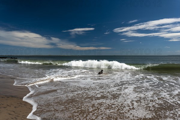 Listening to the ocean waves on a sunny spring day on the Brighton Beach