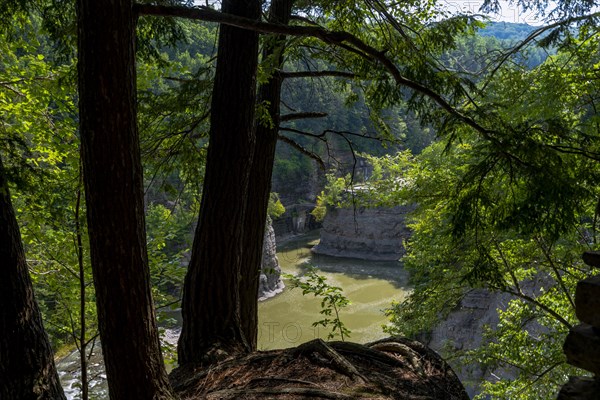 Letchworth State Park