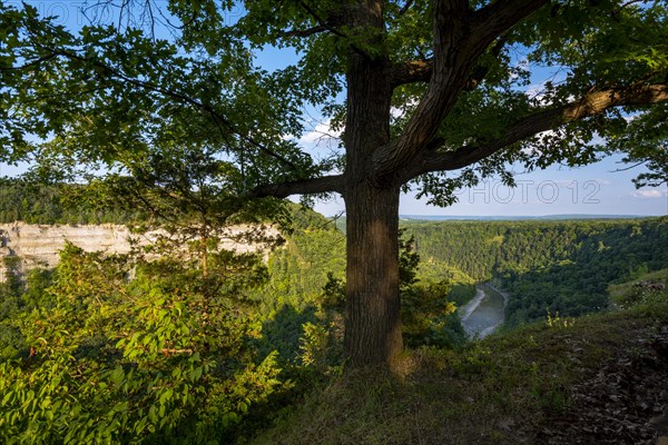 Letchworth State Park