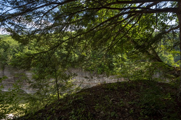 Letchworth State Park