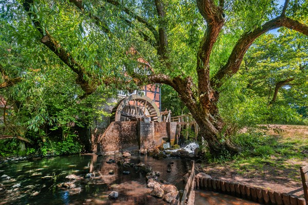 Historic water mill of Stuckenborstel