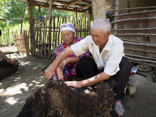 Farmer