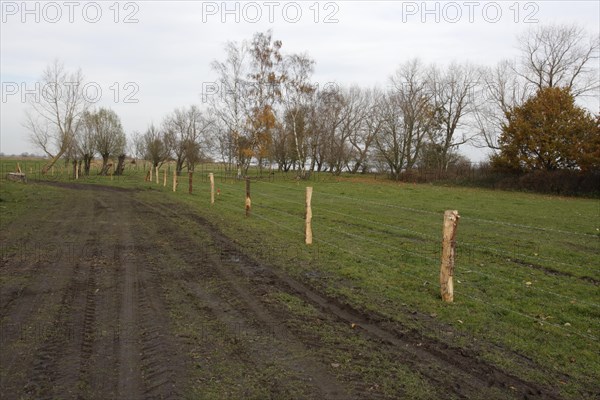 Barbed wire fence in a bird sanctuary