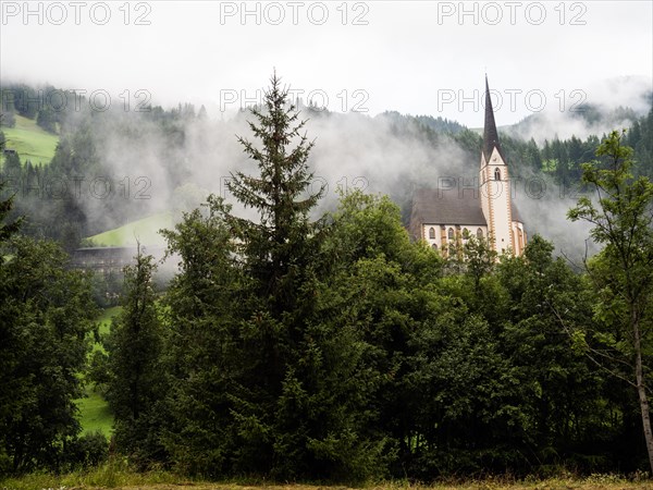 Morning mist