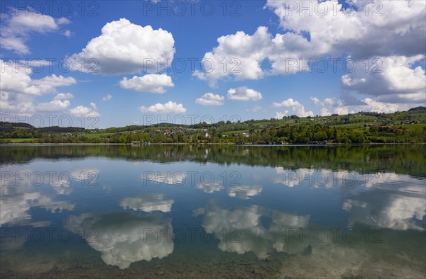 (Cumulus) clouds reflected in the Irrsee, Zell am moss, Salzkammergut, Upper Austria, Austria,