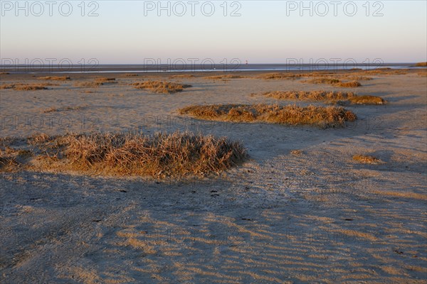 View into the mudflats to the north on the island of Minsener Oog