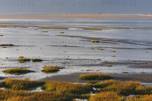 View into the mudflats to the north on the island of Minsener Oog
