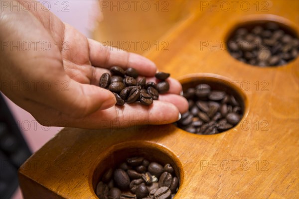 Close up female hand holding coffee beans