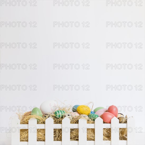 Eggs hay fence