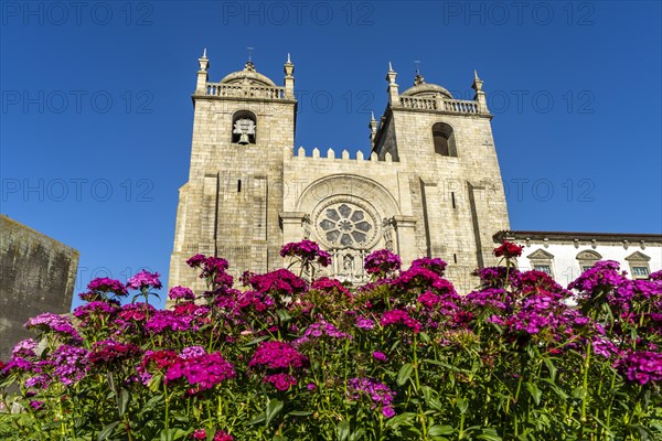 Se do Porto Cathedral