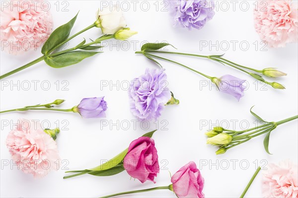 Pale bright coloured flower composition