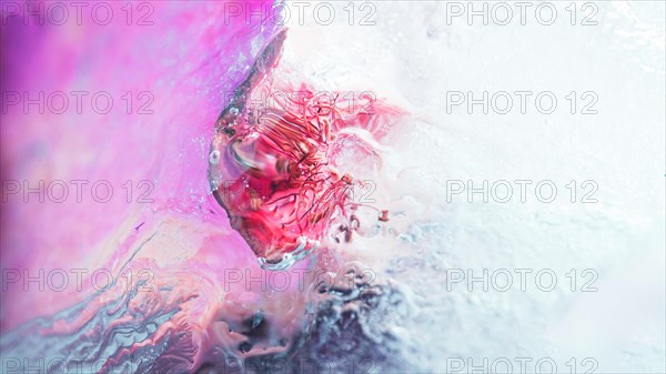 Frozen raspberry