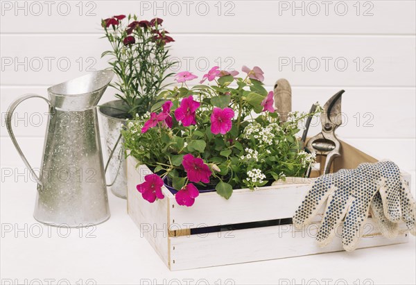 Metallic pitcher near blooms garden equipment box near wall