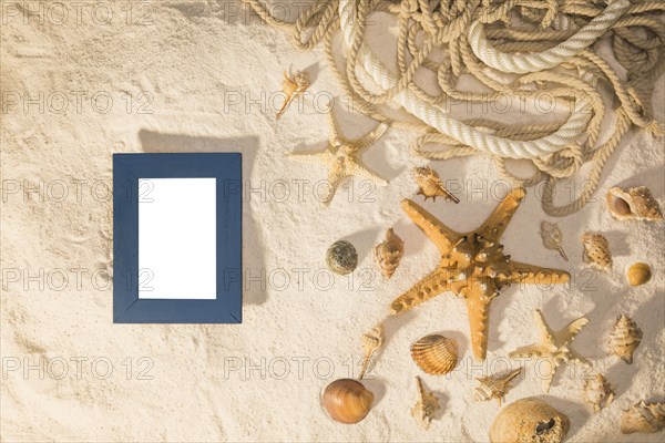 Mockup with blank frame seashells