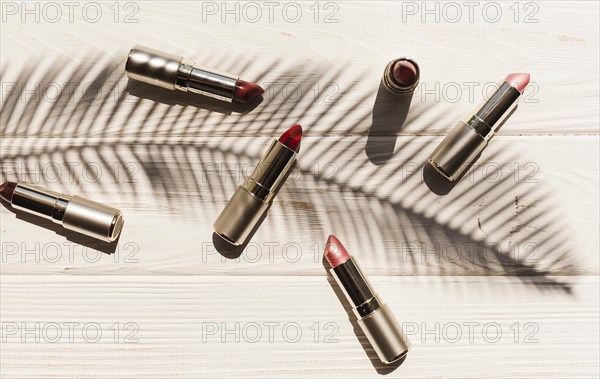 Top view lipsticks with palm branch shadow