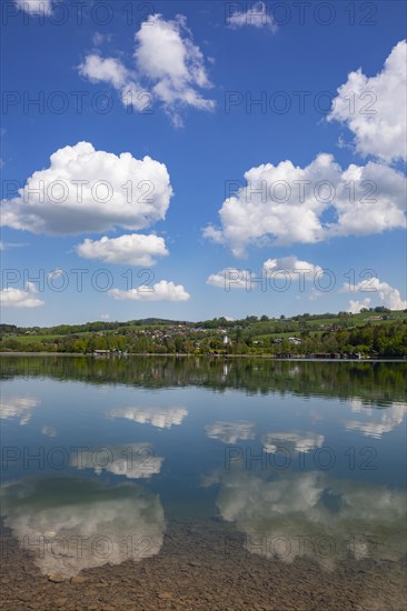 (Cumulus) clouds reflected in the Irrsee, Zell am moss, Salzkammergut, Upper Austria, Austria,