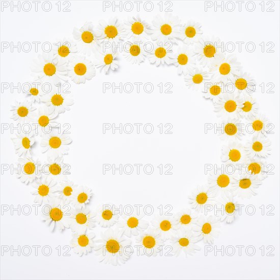 Wide flower wreath