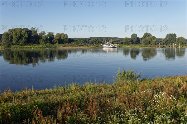 The Elbe near Darchau in the UNESCO Biosphere Reserve Elbe River Landscape