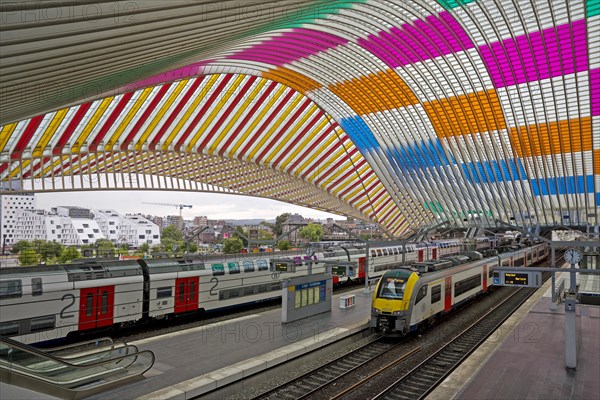 Liege-Guillemins station
