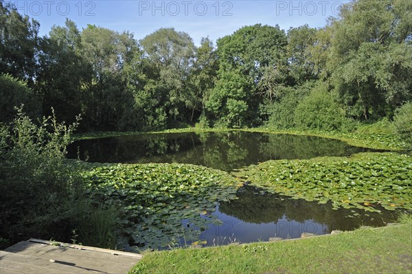 The mine crater Pool of Peace