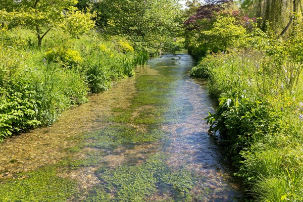Chalk stream River Avon