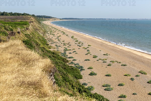 Vegetated cliffs and beach from Dunwich