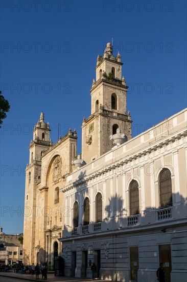 Cathedral church of San Ildefonso