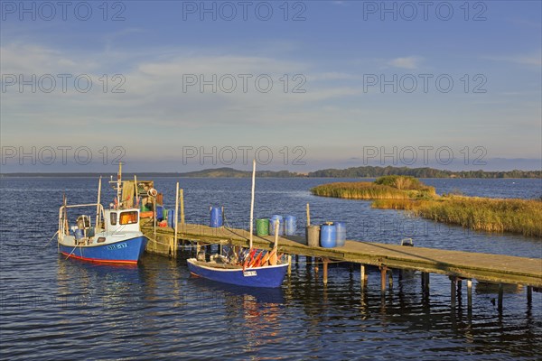 Fishing boats moored along wooden jetty at Neu Reddevitz