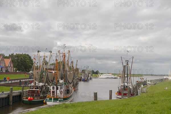Crab cutter in Greetsiel harbour