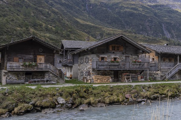 Alpine pasture