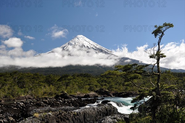 The snow-capped Osorno volcano
