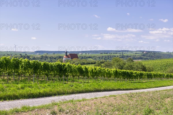 Pilgrimage church Maria im Weingarten