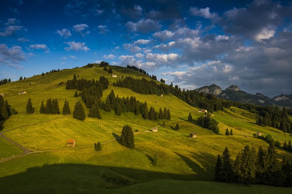 Alpine huts