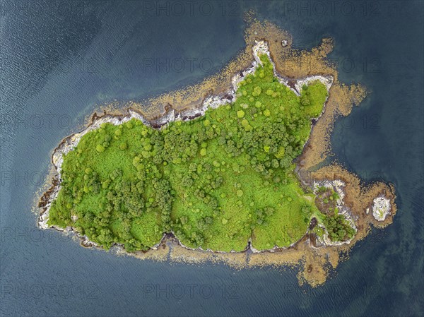 Aerial view of a tree island in Loch Sunart